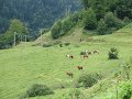 (32) 2007 La Soule